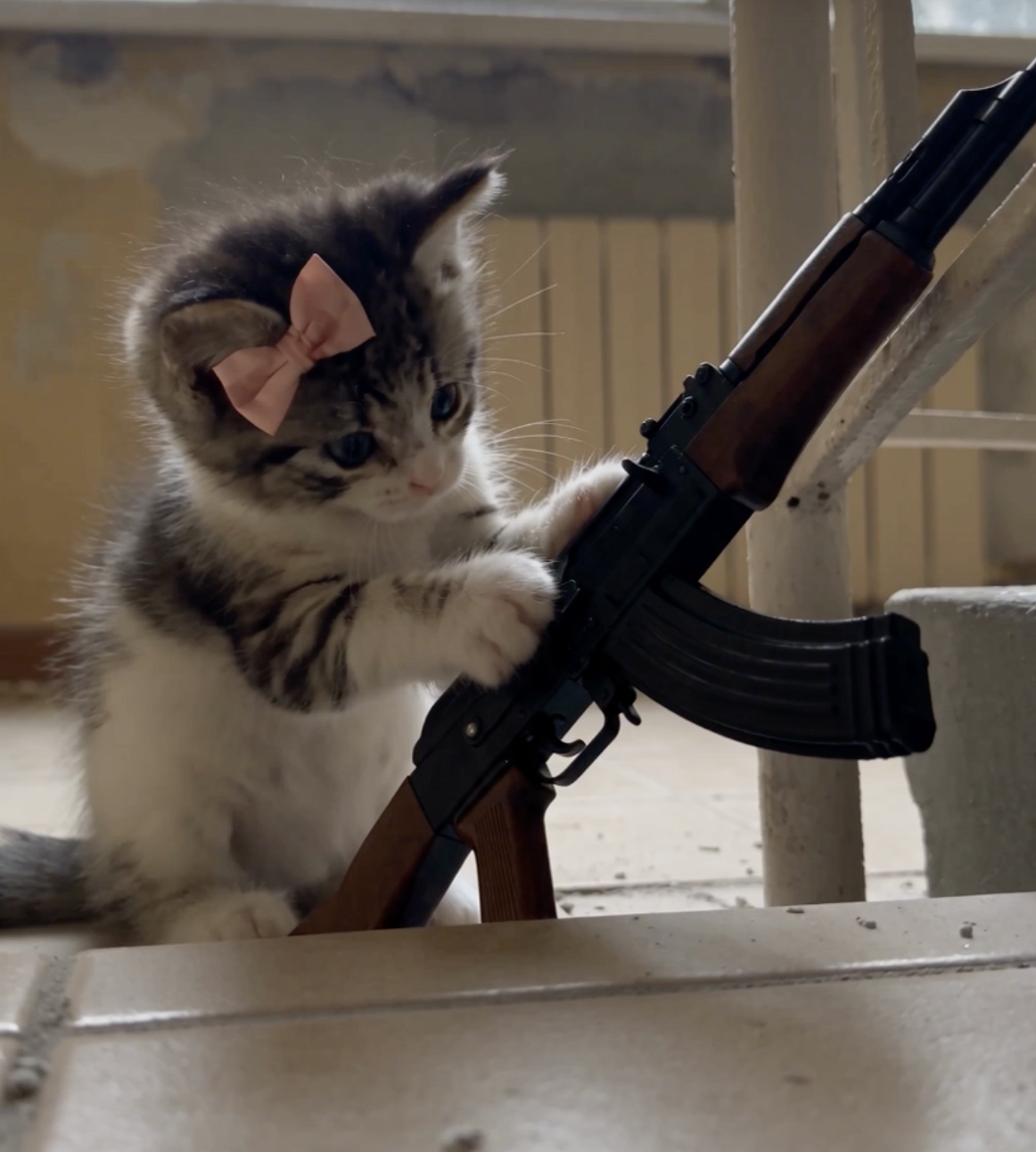 AK CAT inspecting her rifle inside an abandoned outpost